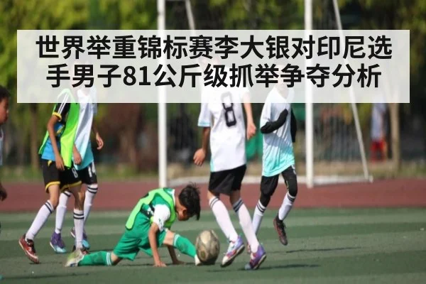 世界举重锦标赛李大银对印尼选手男子81公斤级抓举争夺分析